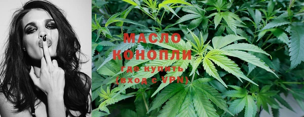 сатива Майский