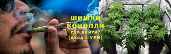 ПСИЛОЦИБИНОВЫЕ ГРИБЫ Алексеевка