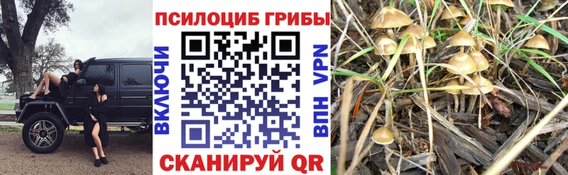 Псилоцибиновые грибы ЛСД  Алатырь 